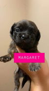 Margaret