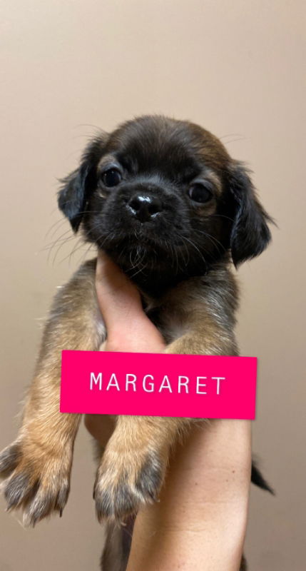 Margaret