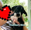 Thackery Binx