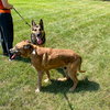 Jasper - Photo 4