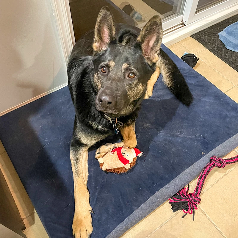 Vader