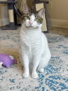 Leia - Photo 2