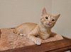 Sammy - Photo 5
