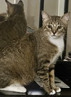 Soxy - Photo 4