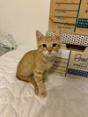 Quincy - Photo 2