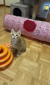 Birdie - Photo 1