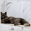 Penelope - Photo 3