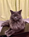 Penelope - Photo 2