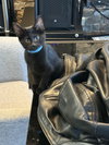Salem - Photo 1