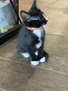 Stormy - Photo 3