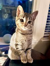 JWoww - Photo 3