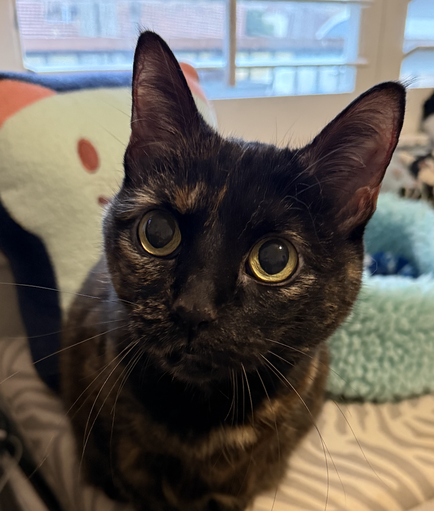 Rosie