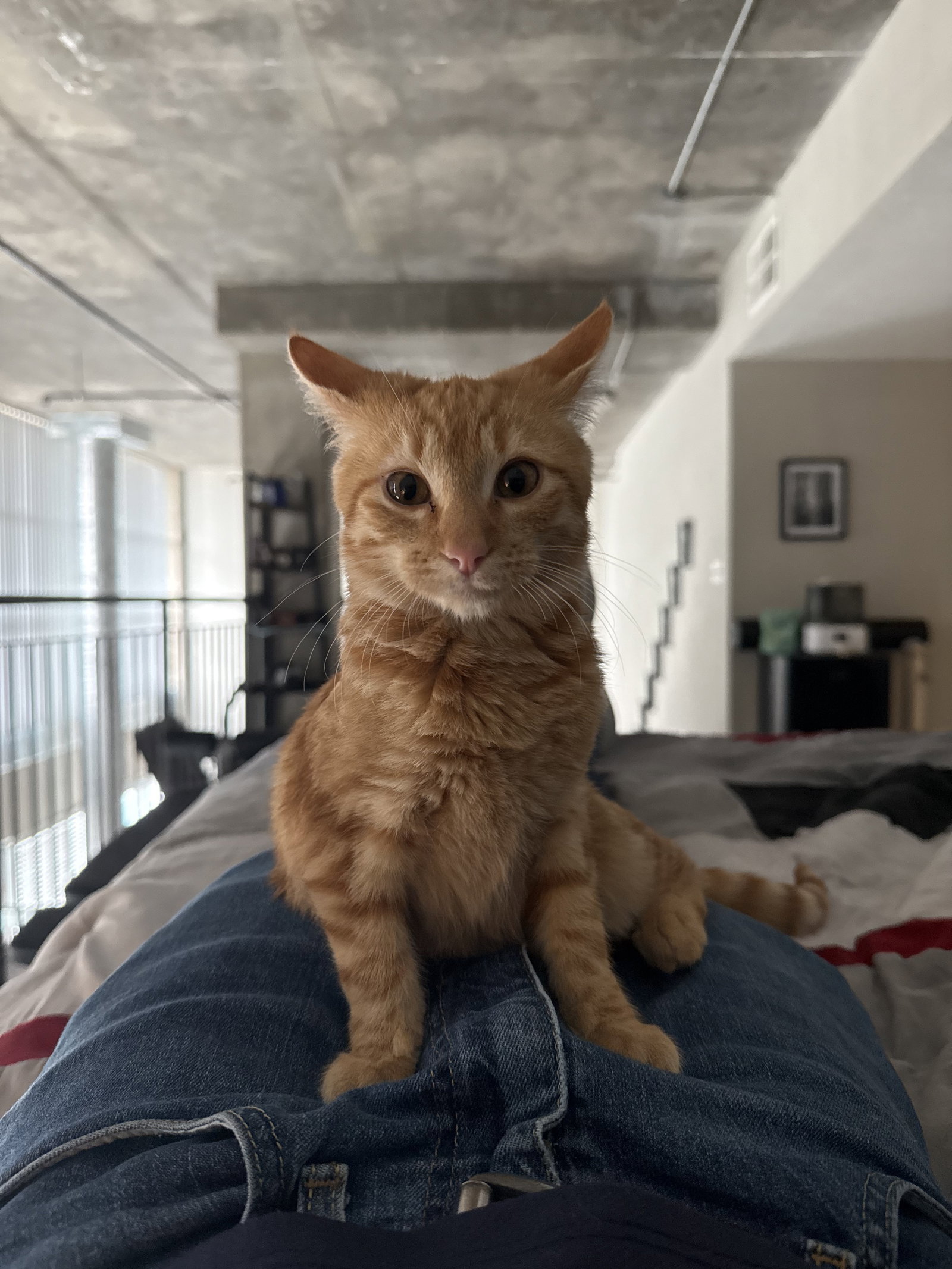 George Image