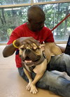 Zuko - Photo 5