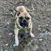 Zuko - Photo 7