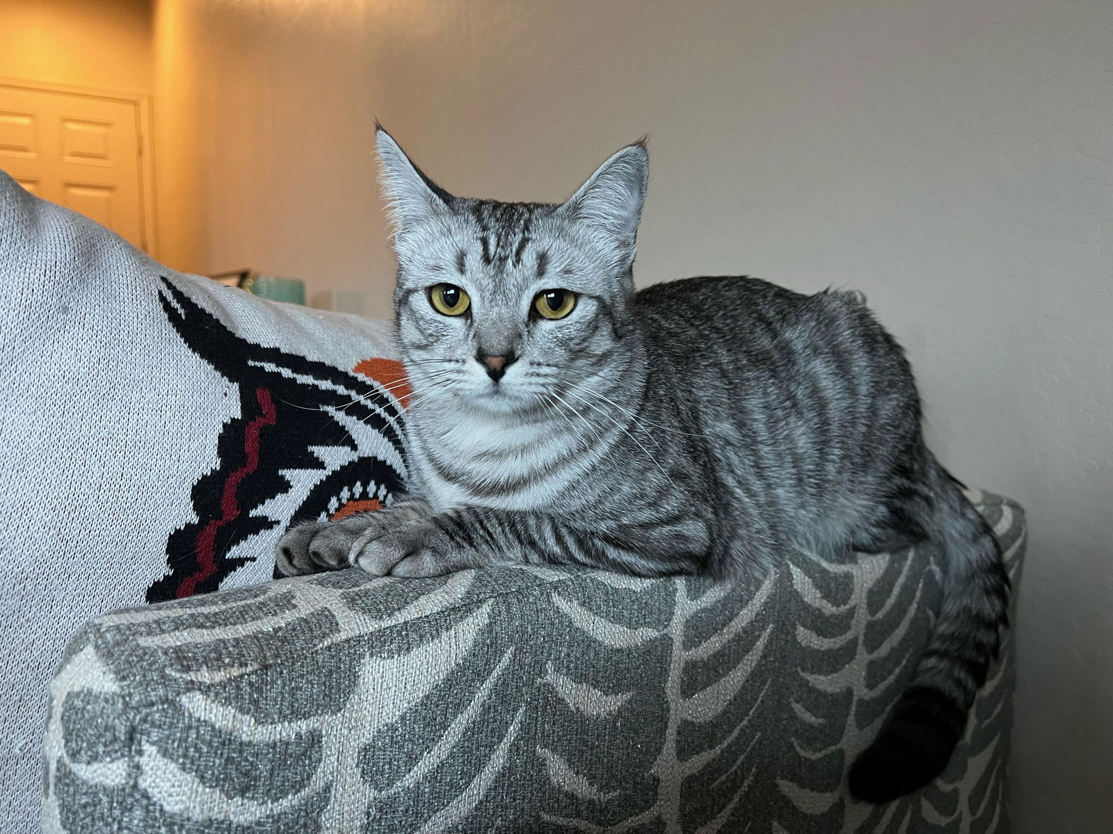 Photo of Jenny Catsalot