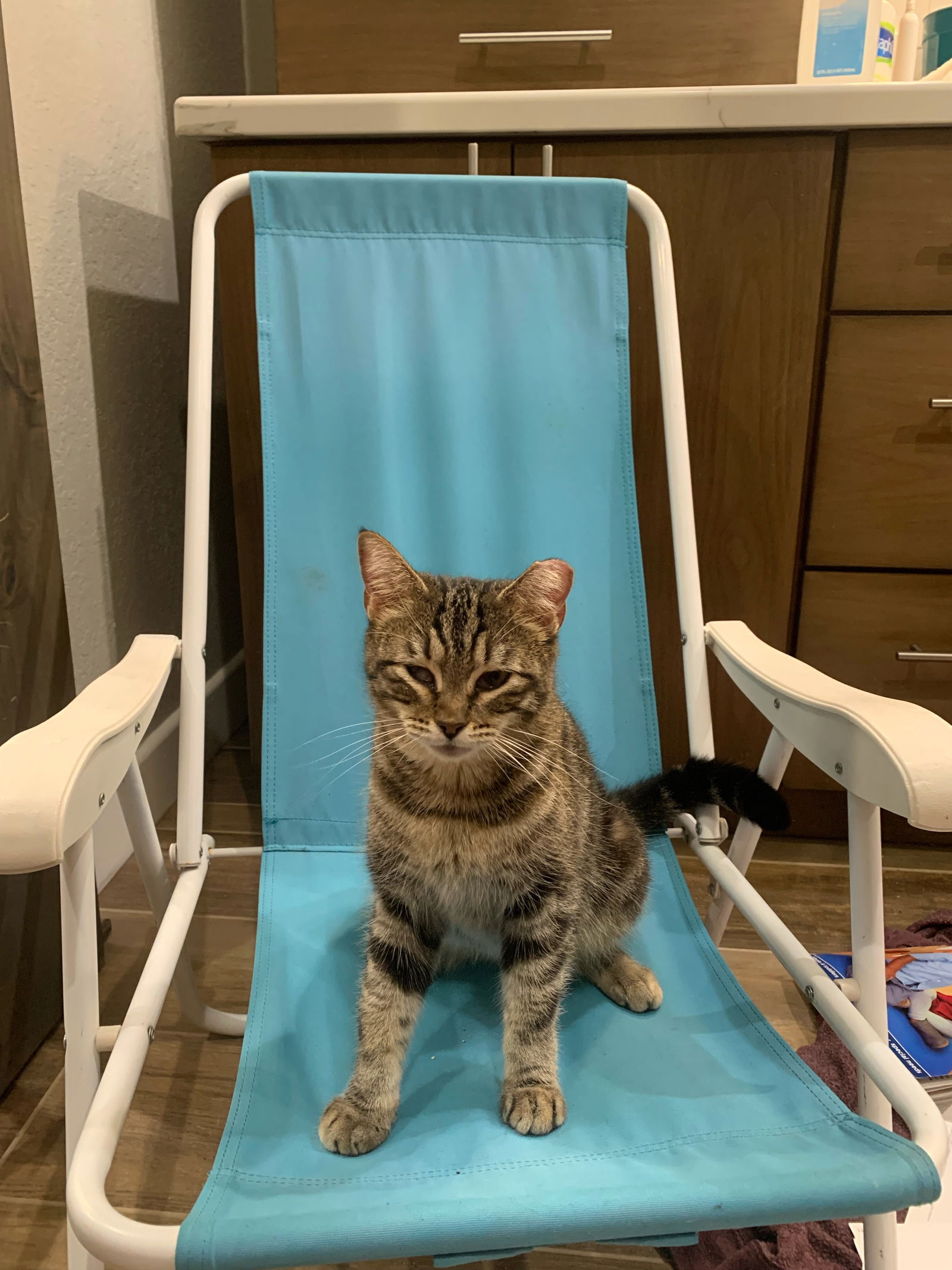Photo of Cina Toast