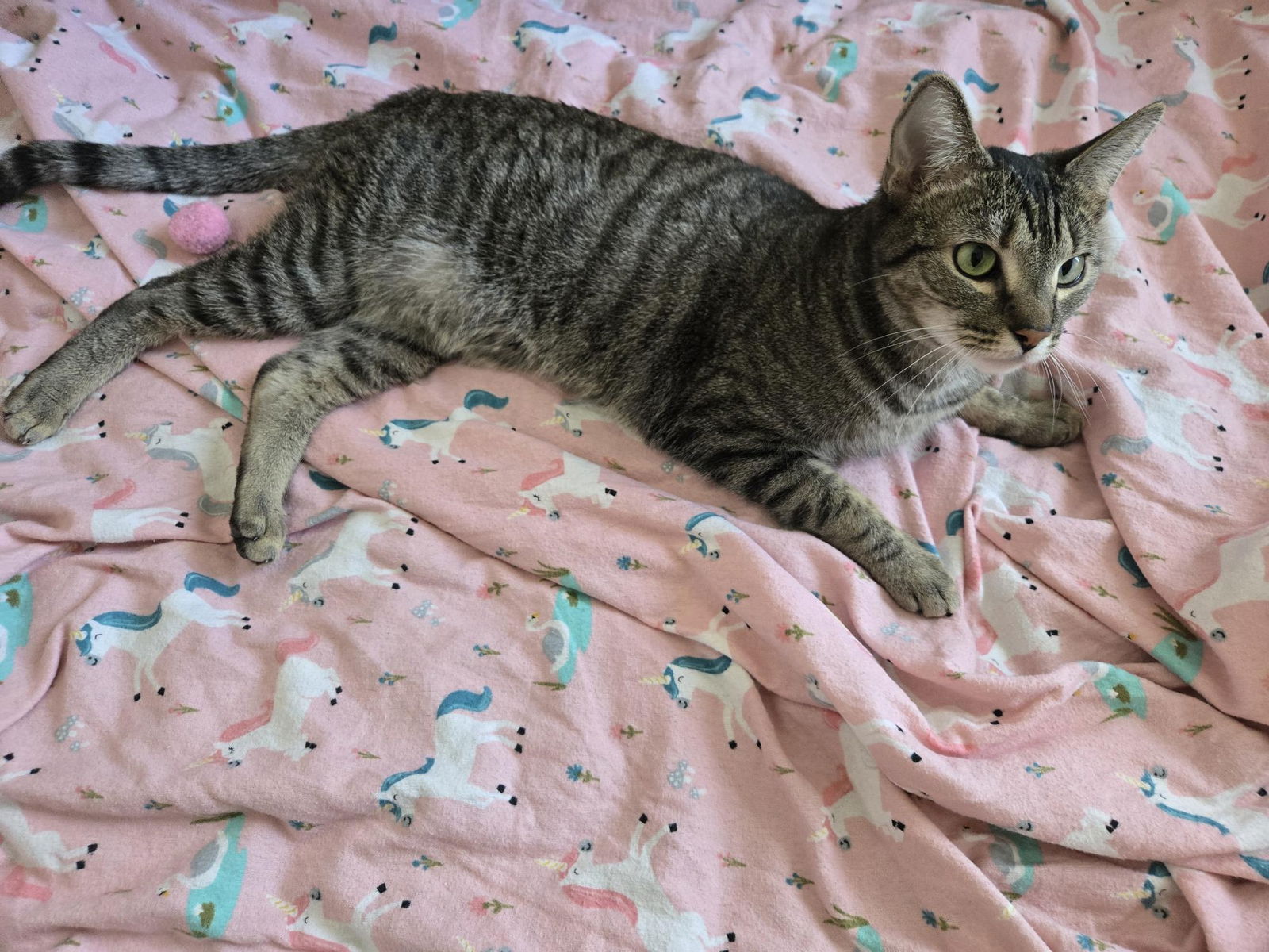 Photo of Minette Muse