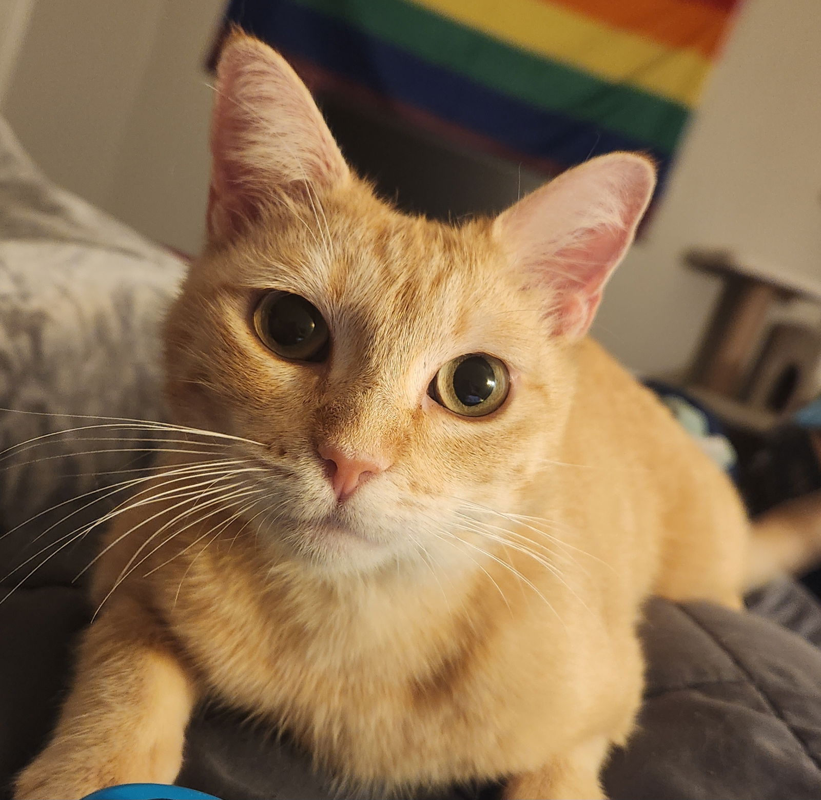 Photo of Strawberry Shortcake