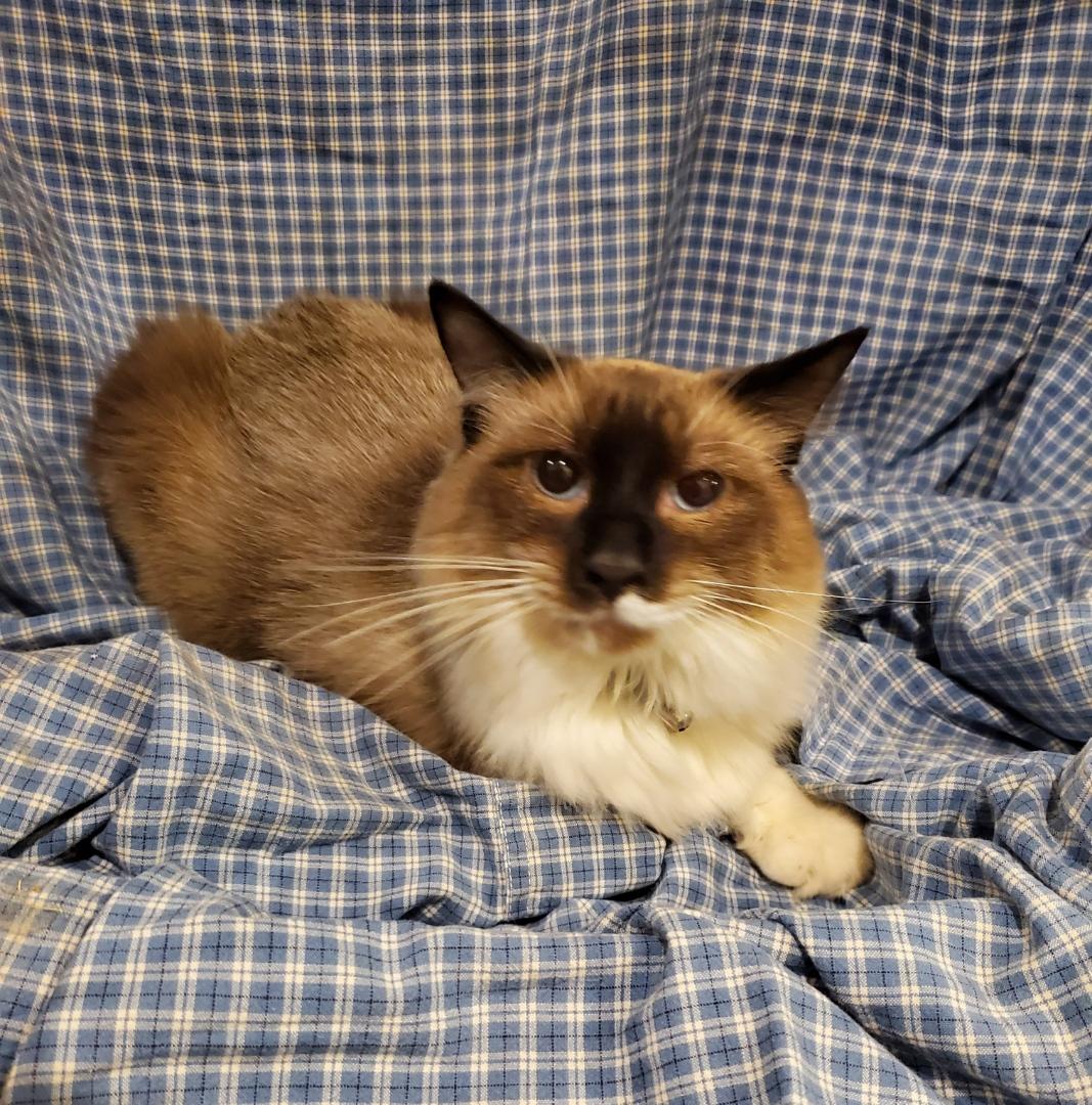 Photo of Armani Hammer