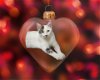 adoptable Cat in chandler, AZ named Gilbert Roofcat