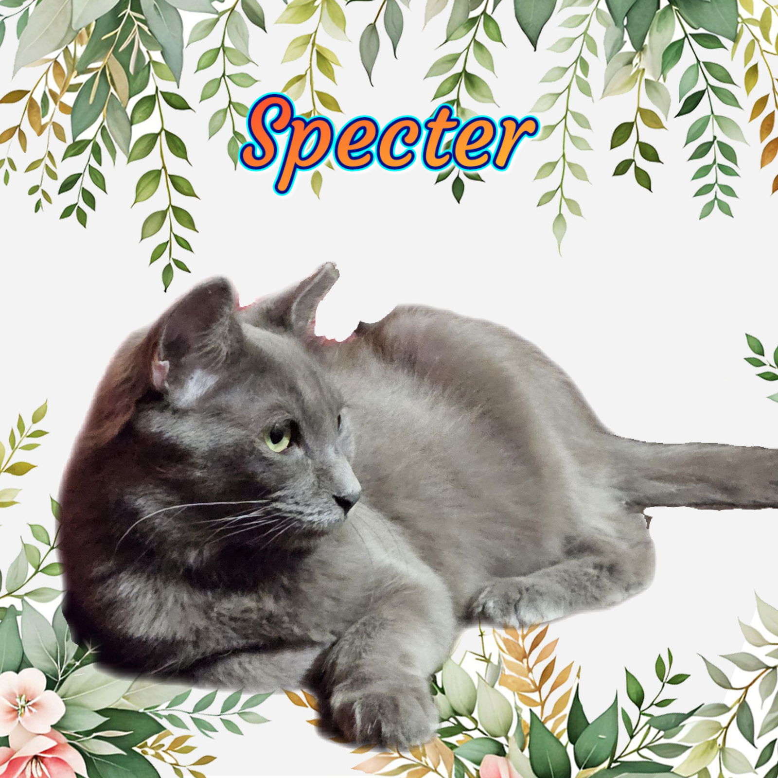 Photo of Specter Mist