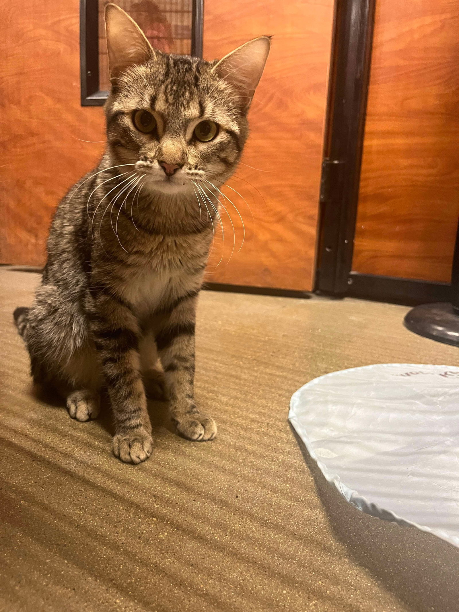 Photo of Ceasar Four