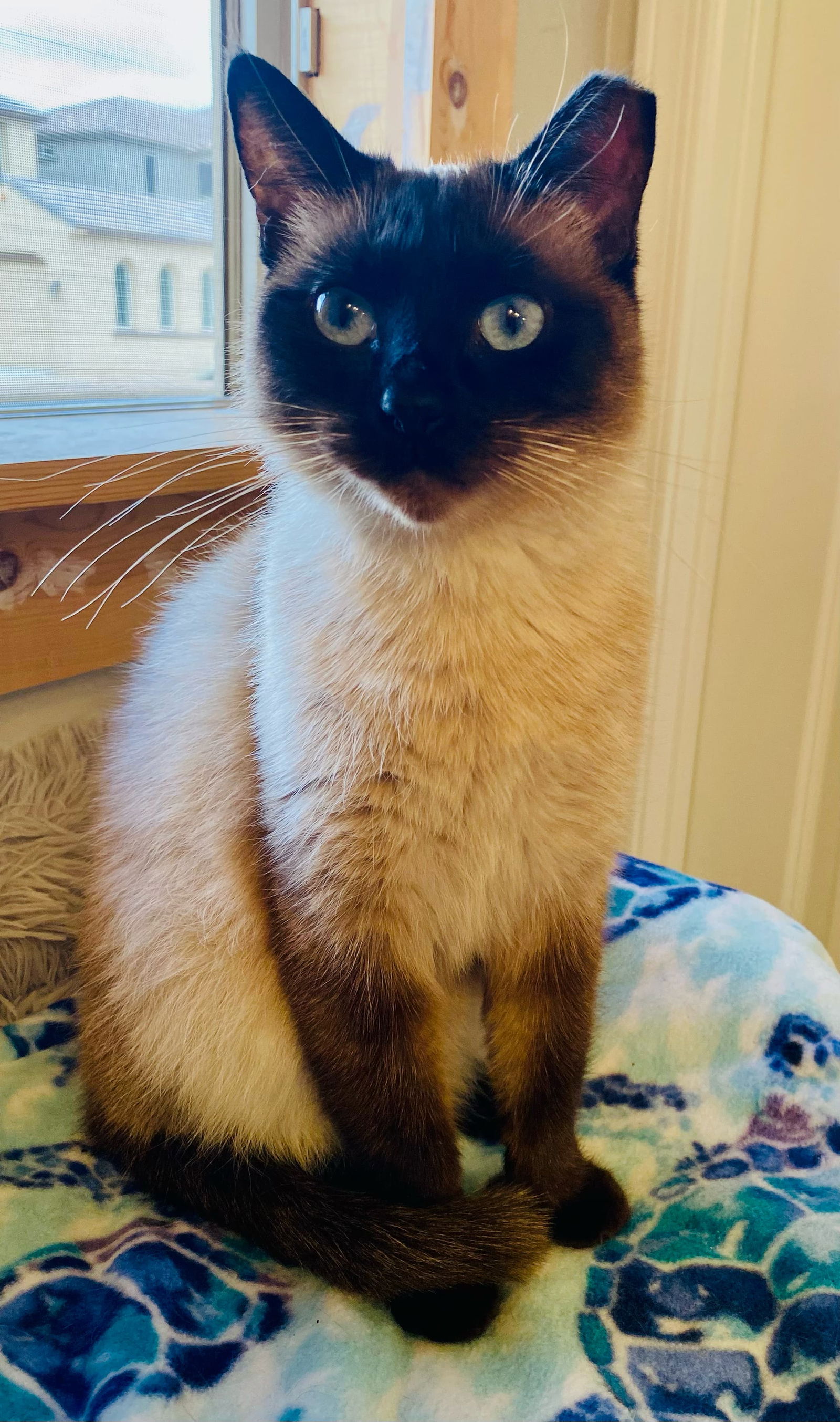 Photo of Penny Barb