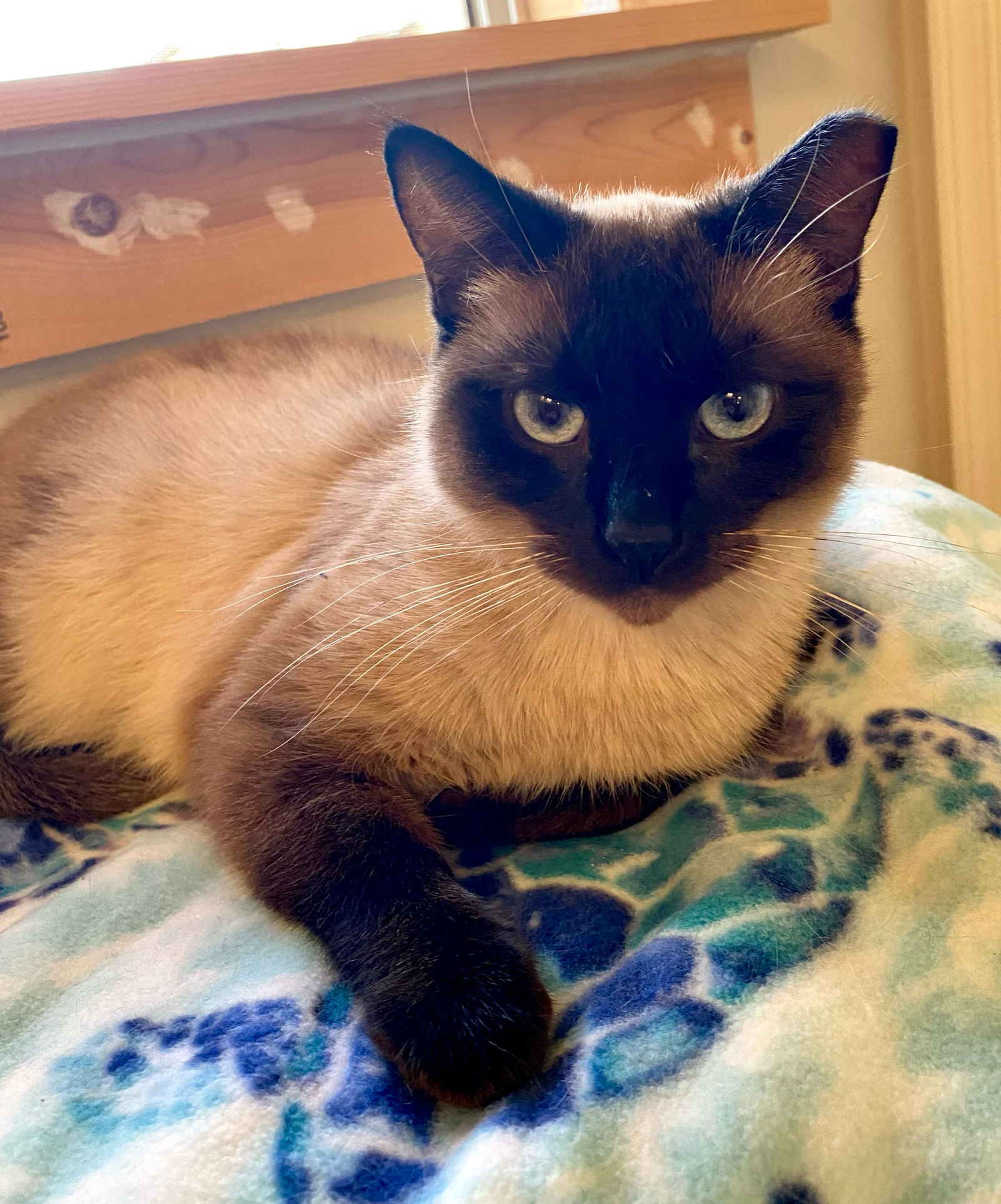 Photo of Penny Barb