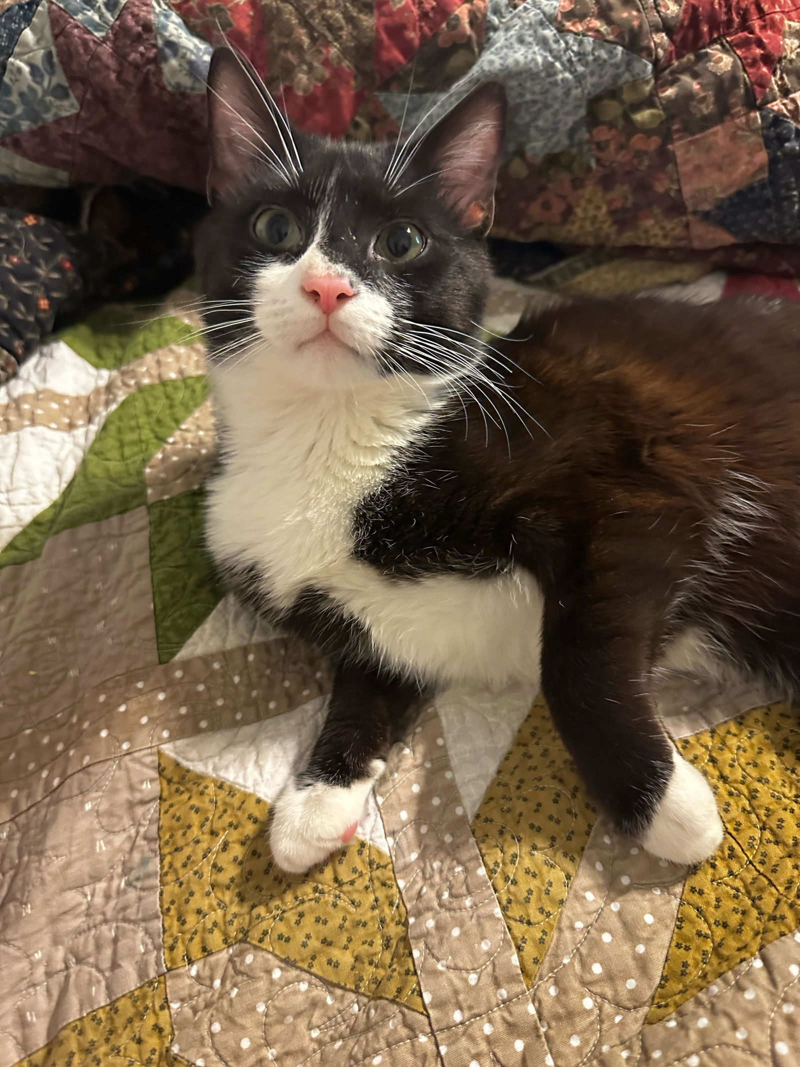 Photo of Sylvester Love