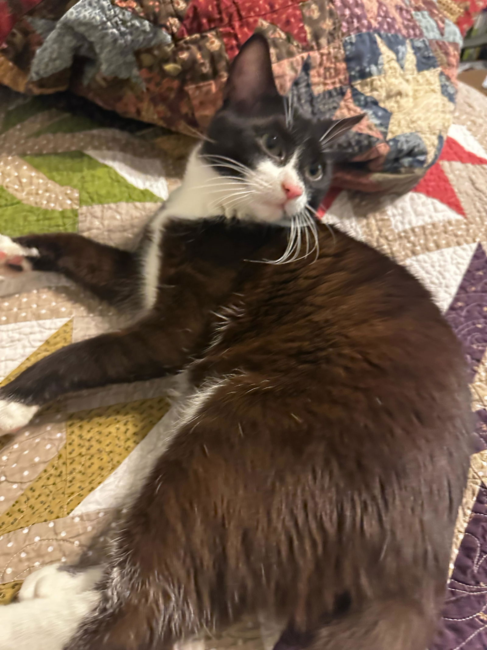 Photo of Sylvester Love
