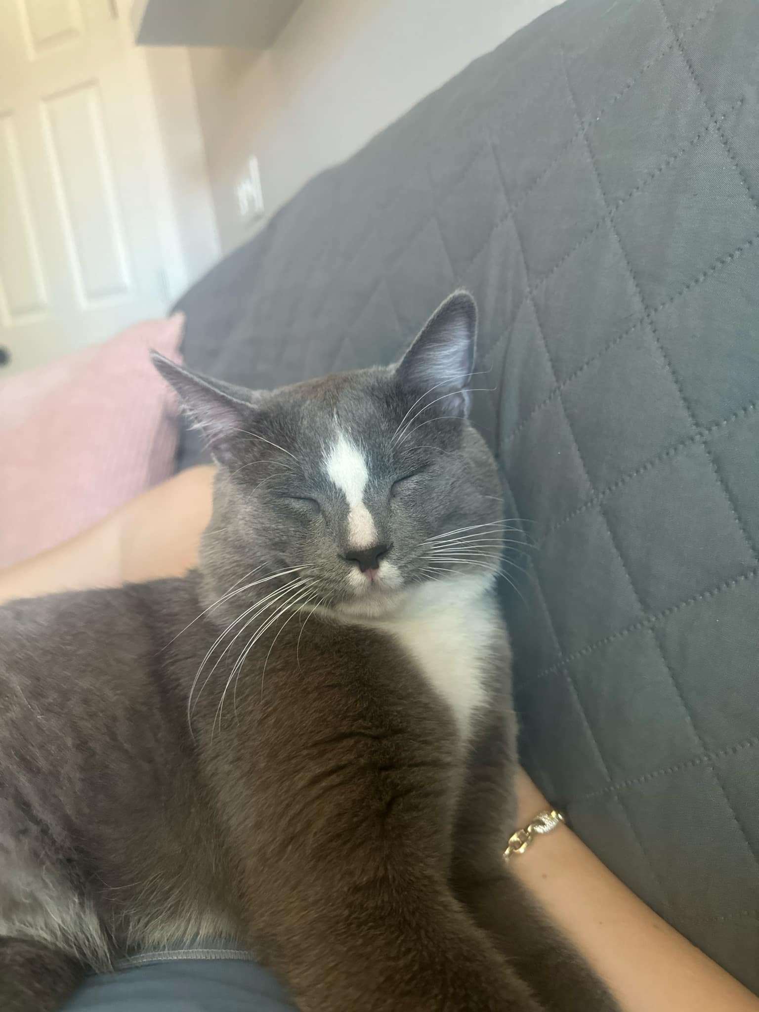 Photo of Blue Mittens