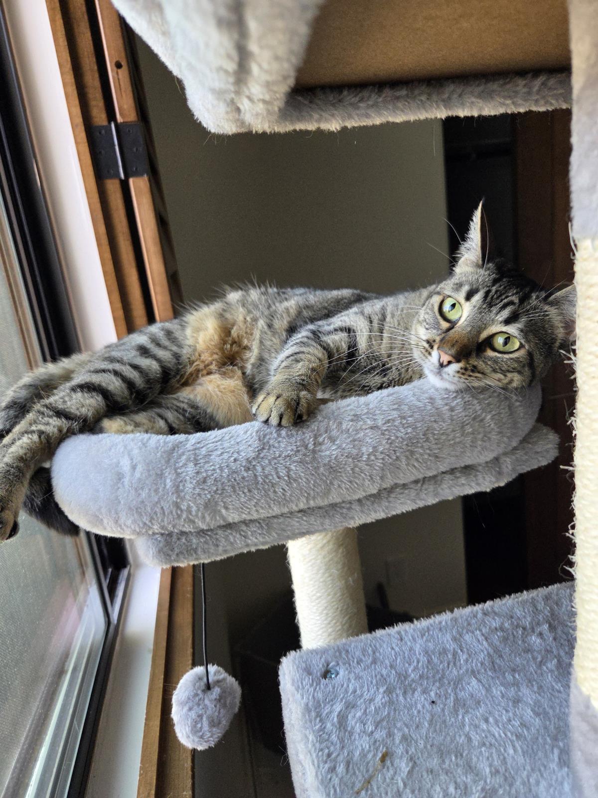 Photo of Bean Zee