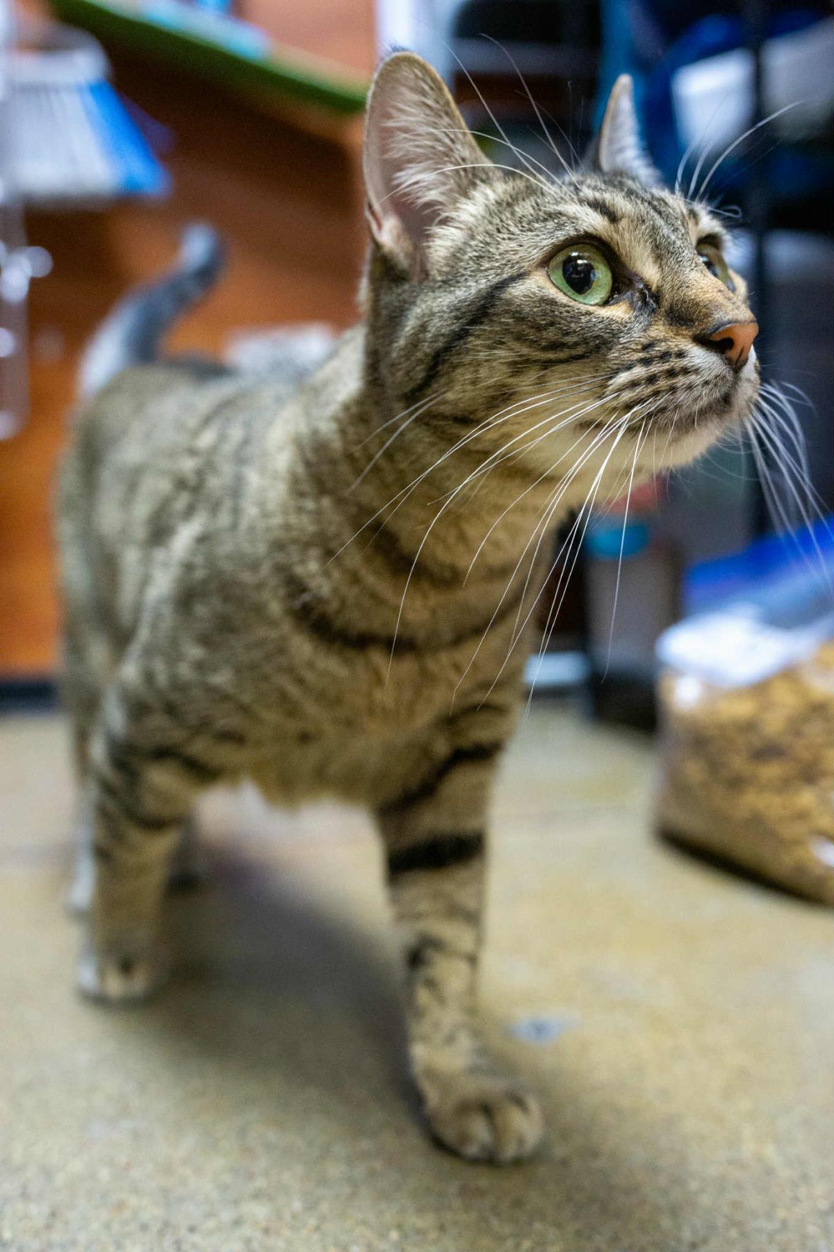Photo of Bean Zee