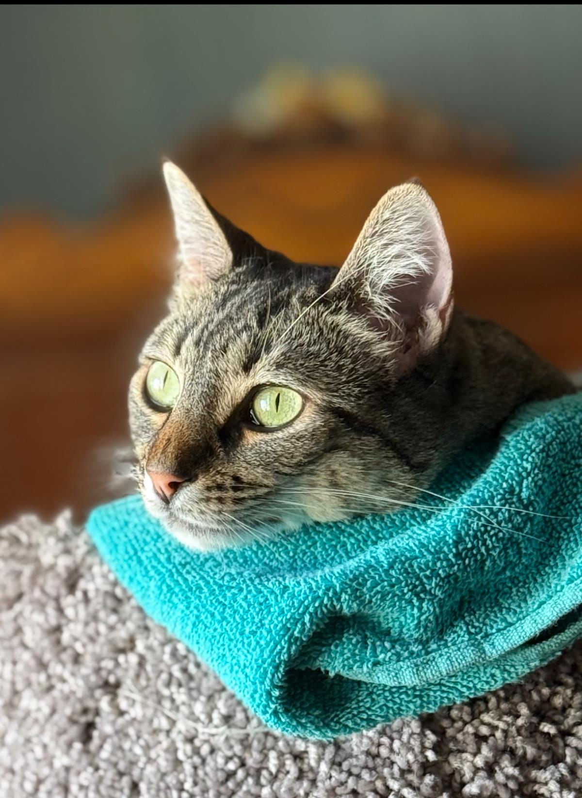 Photo of Cool-bean Zee