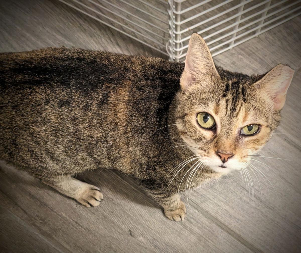 Photo of Kitney Pawyer