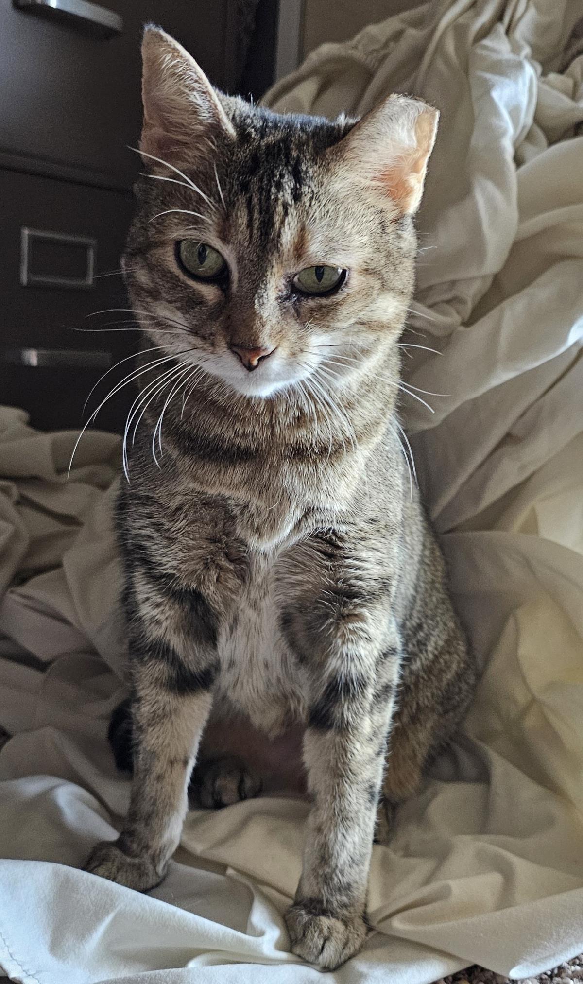 Photo of Kitney Pawyer
