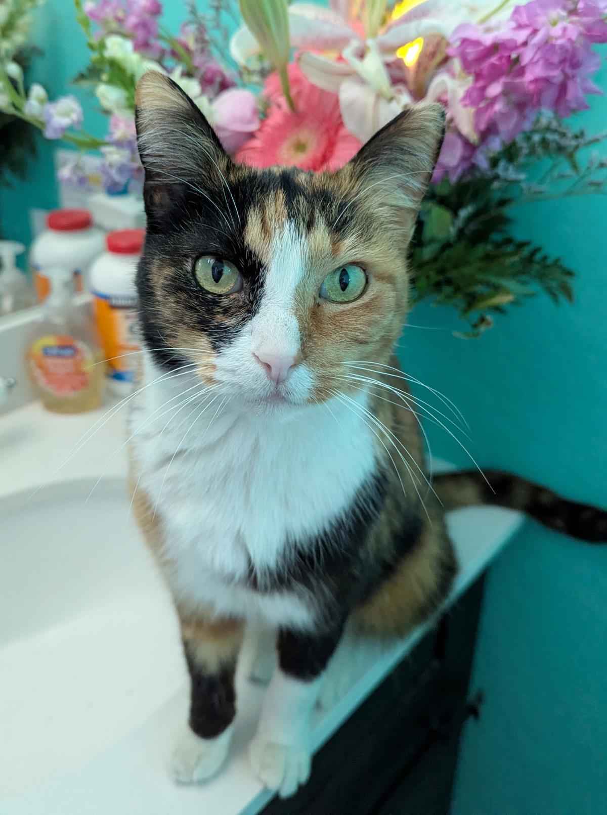Photo of Lillian Rose