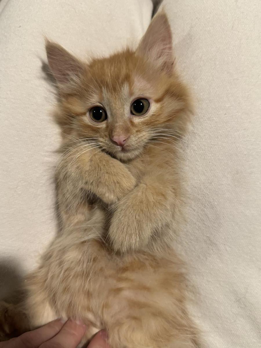 Photo of Juicy Juice