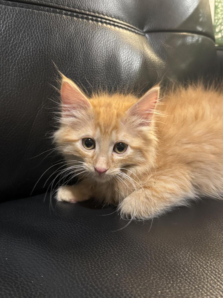 Photo of Juicy Juice