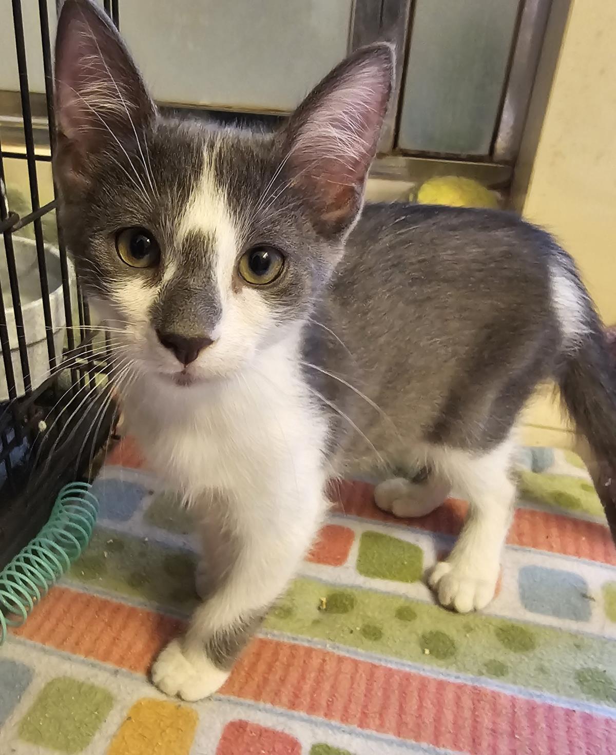 Photo of Calypso Trois