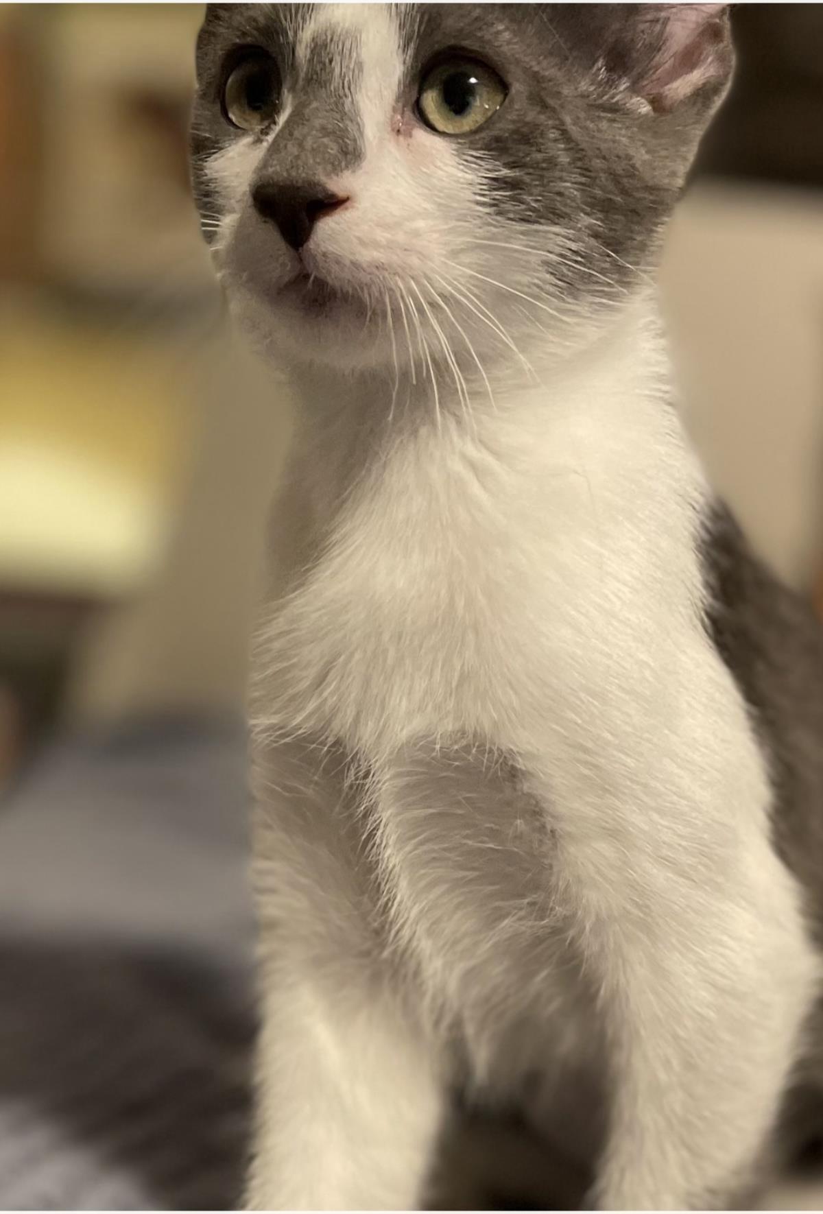 Photo of Calypso Trois