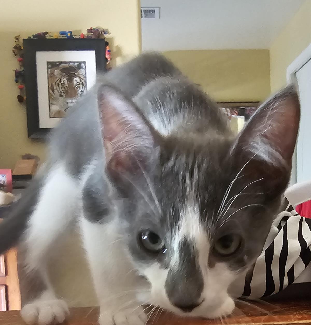 Photo of Calypso Trois