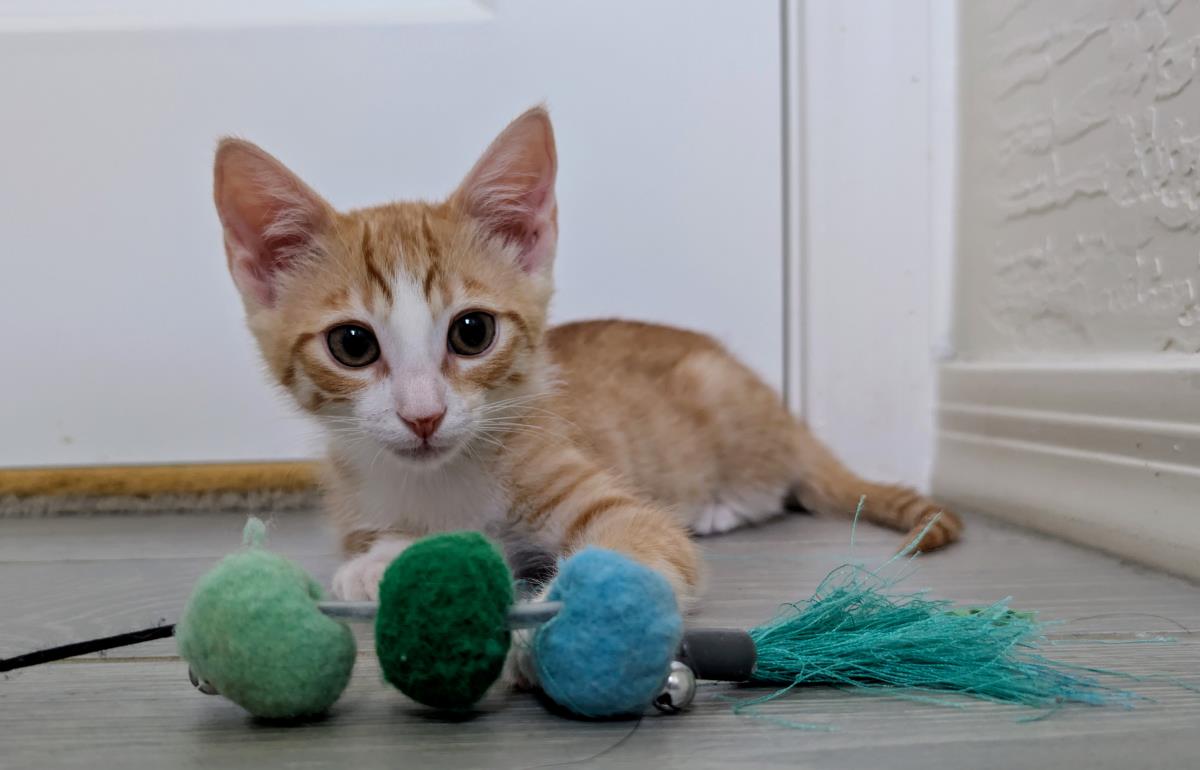 Photo of Milo May