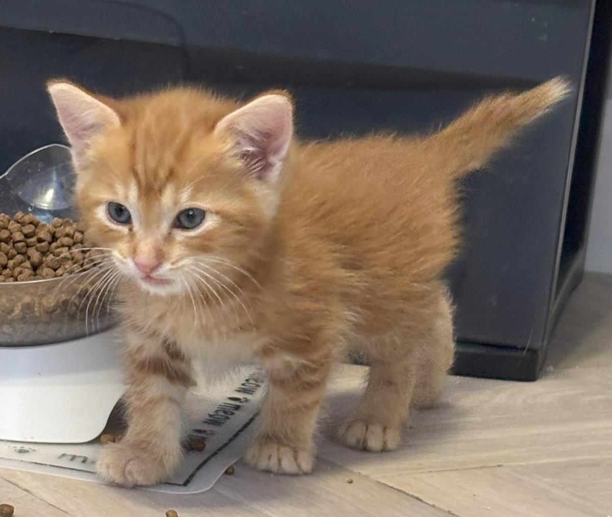 Photo of Sunny Clawford