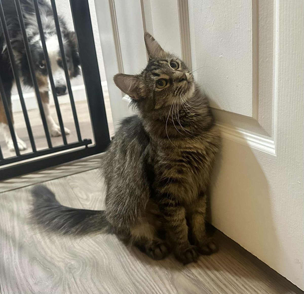 Photo of Princess Penelope