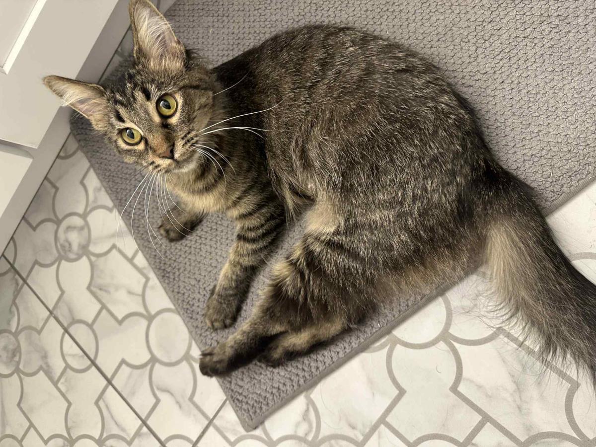Photo of Princess Penelope