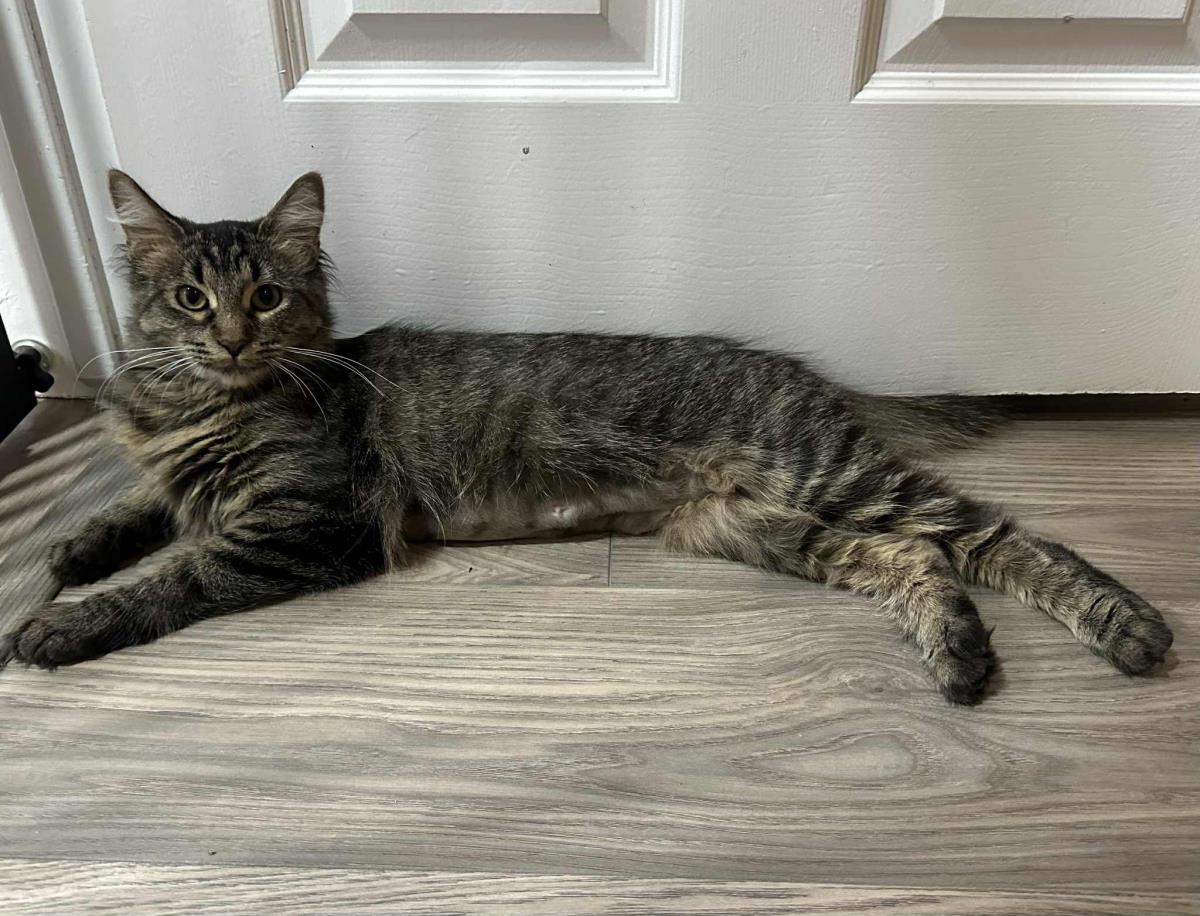 Photo of Princess Penelope