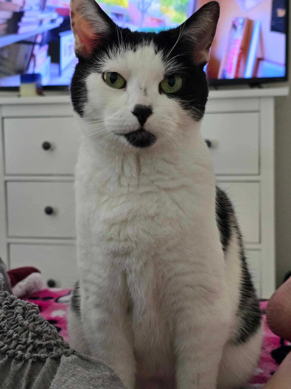 Photo of Millie Mews