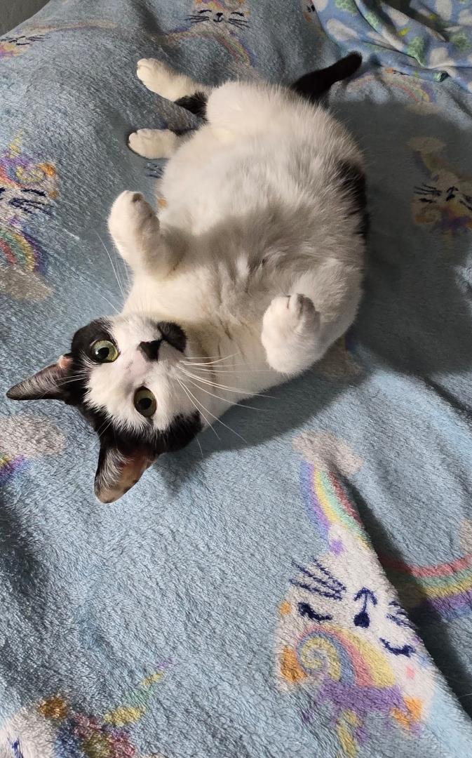 Photo of Millie Mews